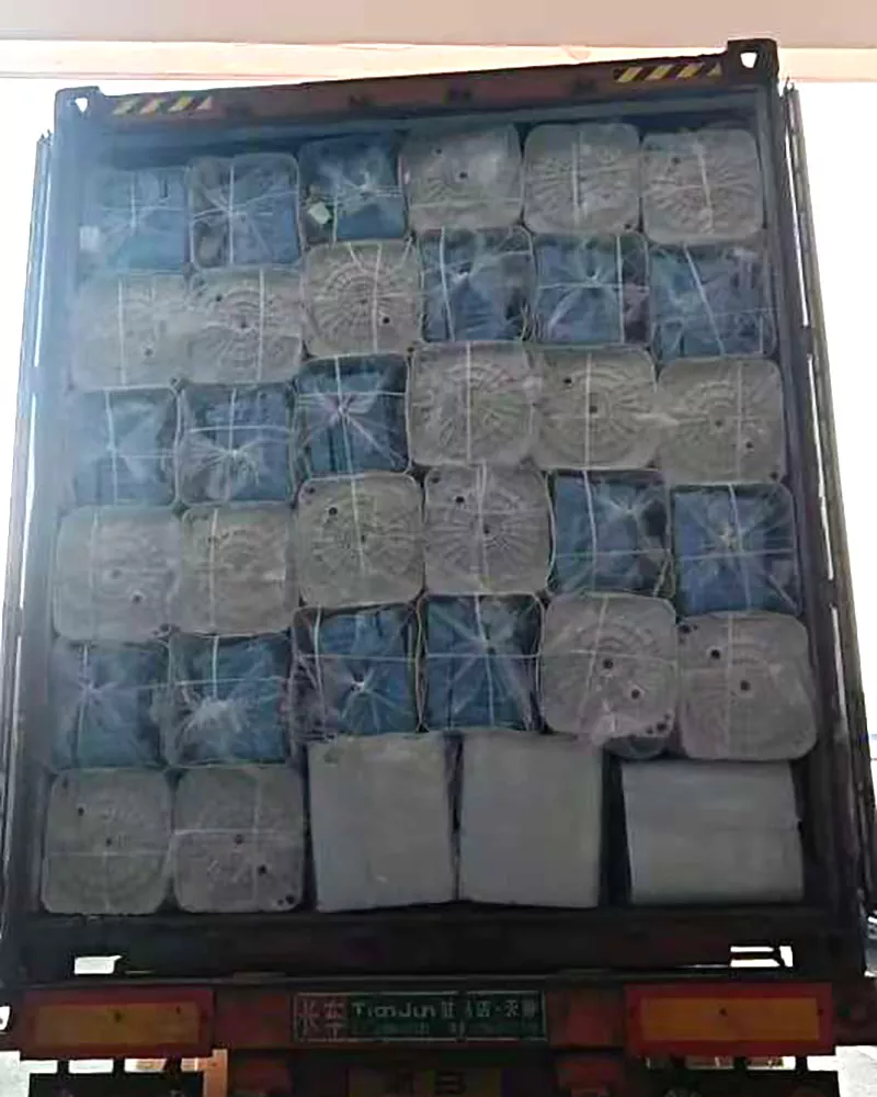 DC Travel Single Tub Washing Machine